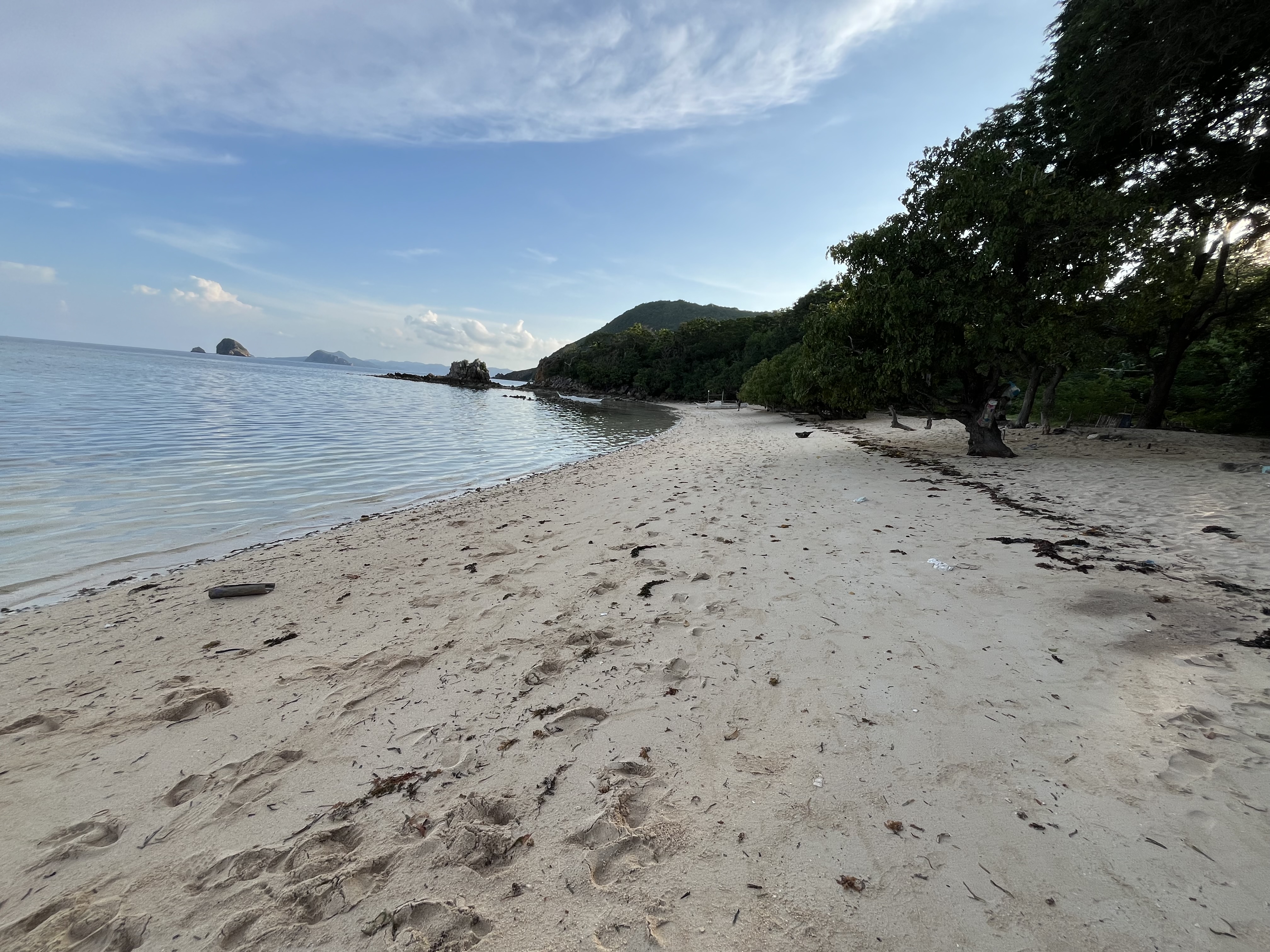 For sale Binalabag Island. White sand and lush greenery